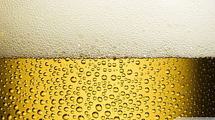 clear glass beer mug, beer, alcohol