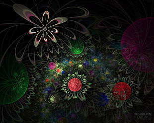 multicolored floral wallpaper, abstract, fractal