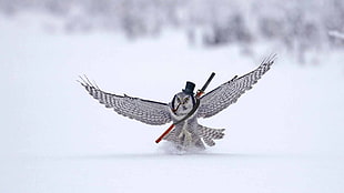 black and gray owl with sword