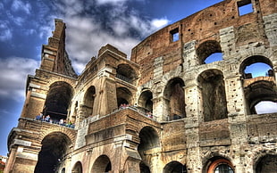 Colosseum Rome HD wallpaper