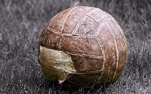 brown soccerball