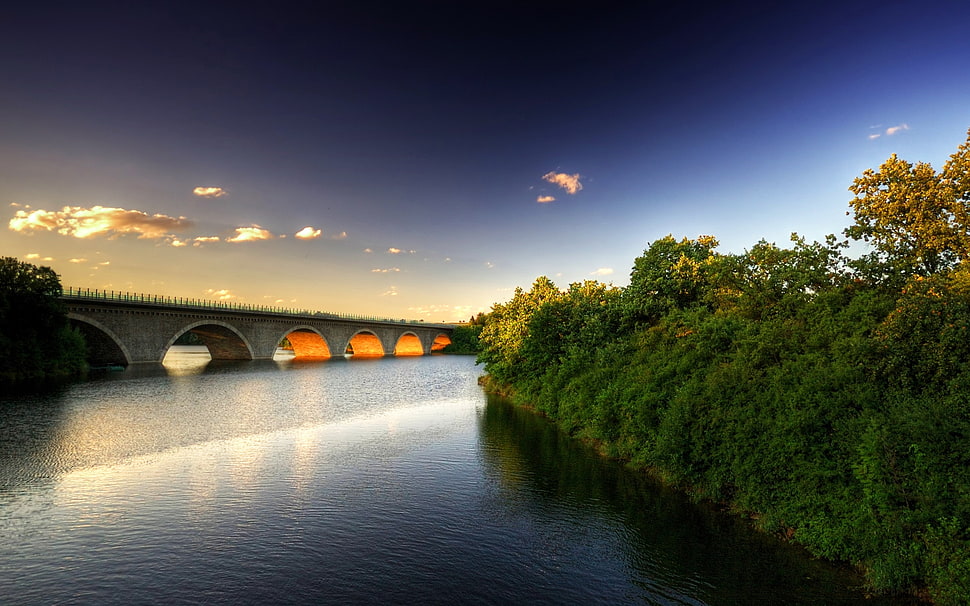 bridge with trees photography HD wallpaper