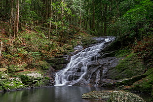 time-lapse photography of water falls, kondalilla national park HD wallpaper