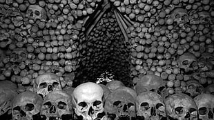 pile of human skeleton, skull, bones, Czech Republic, monochrome HD wallpaper