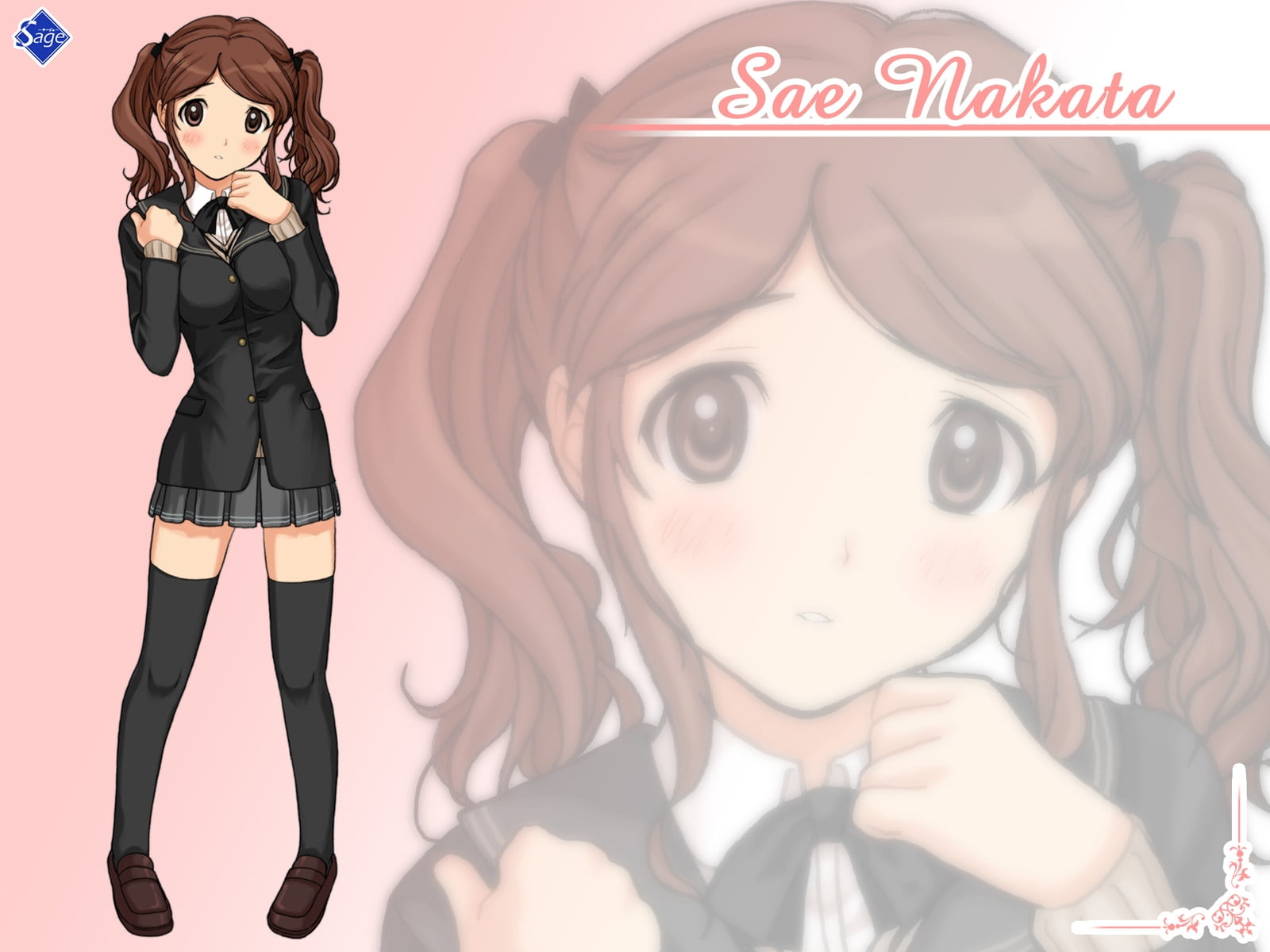 Sae Nakata female anime character
