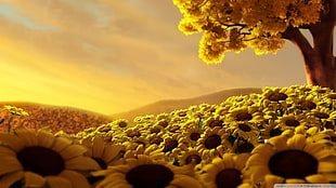 sunflower garden, nature, sunflowers, flowers, trees HD wallpaper