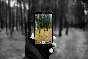 black Android smartphone, nature, ASUS, selective coloring