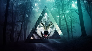 grey wolf across trees