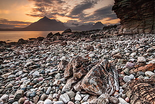 low angle photography grey rocks on seashore