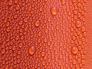 water dew, Texture, Drops, Surface