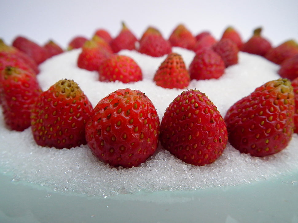 strawberries fruit on crushed ice HD wallpaper