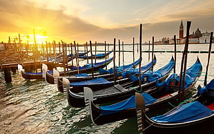 black canoe boat lot, sunset, boat, Venice, Italy HD wallpaper