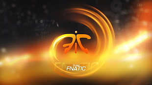 team fanatic logo, digital art, cybersport, Fnatic, Counter-Strike: Global Offensive