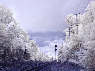 train railway photo during winter HD wallpaper