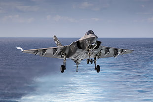 gray fighter jet above sea