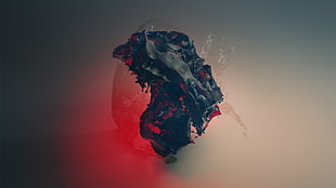 black stone fragment