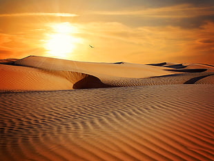 desert on sunset