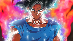 Son Goku ultra Instinct digital wallpaper