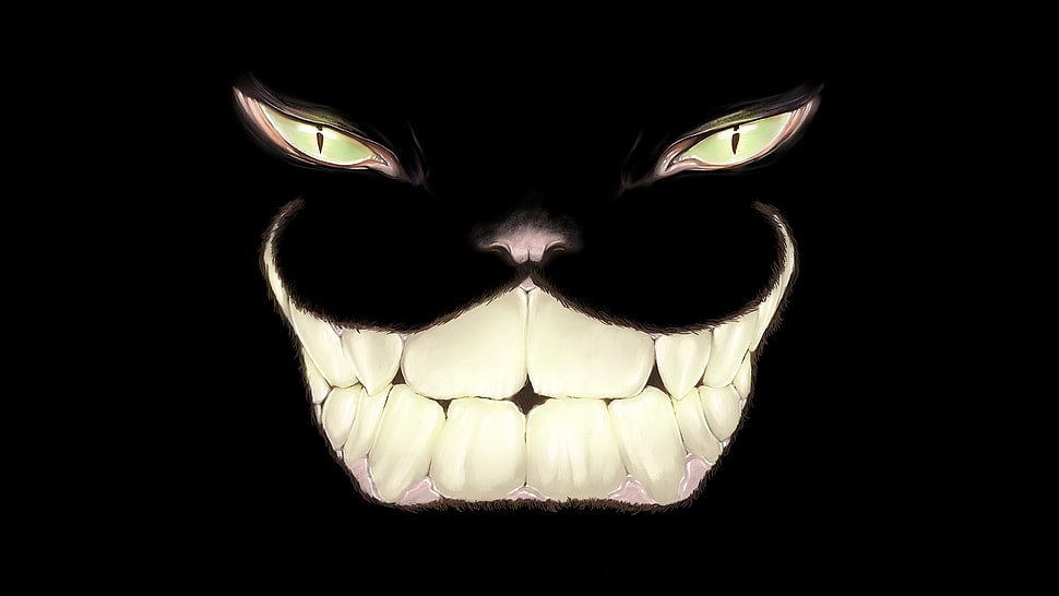 cat face illustration, Cheshire Cat, artwork, minimalism HD wallpaper