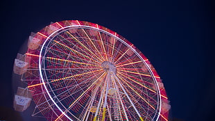 white Ferris wheel ride HD wallpaper