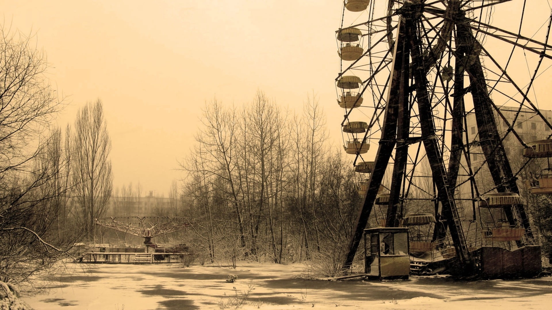 black bare tree, apocalyptic, abandoned, Pripyat, Ukraine