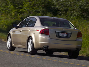 beige-metallic Acura TL sedan near green leaf plants