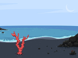 red coral on black beach shore illustration HD wallpaper