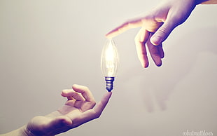 glass LED bulb, light bulb, hands, lights