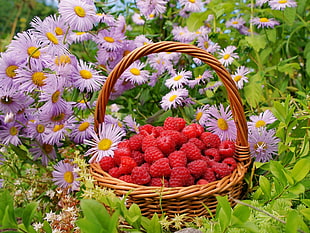 raspberry fruits on wicker basket