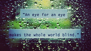 An eye for an eye makes the whole world blind quote, quote