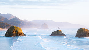 green islands, Ecola State Park, Oregon, Pacific Ocean, beach HD wallpaper