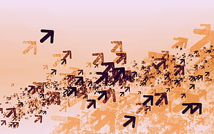 cluster of arrows wallpaper, abstract, arrows (design) HD wallpaper