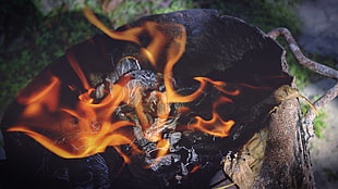 black firepit, Bonfire, Fire, Ashes HD wallpaper