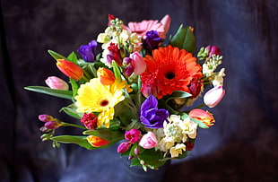 closeup photo of bouquet of petaled flowers