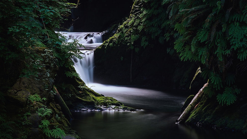 white and black boat trailer, waterfall, forest HD wallpaper