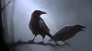 painting of two birds, raven
