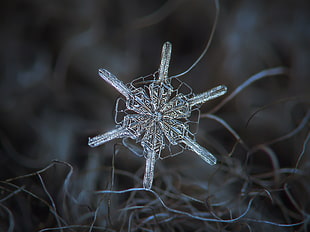 selective photo of crystal snow flake