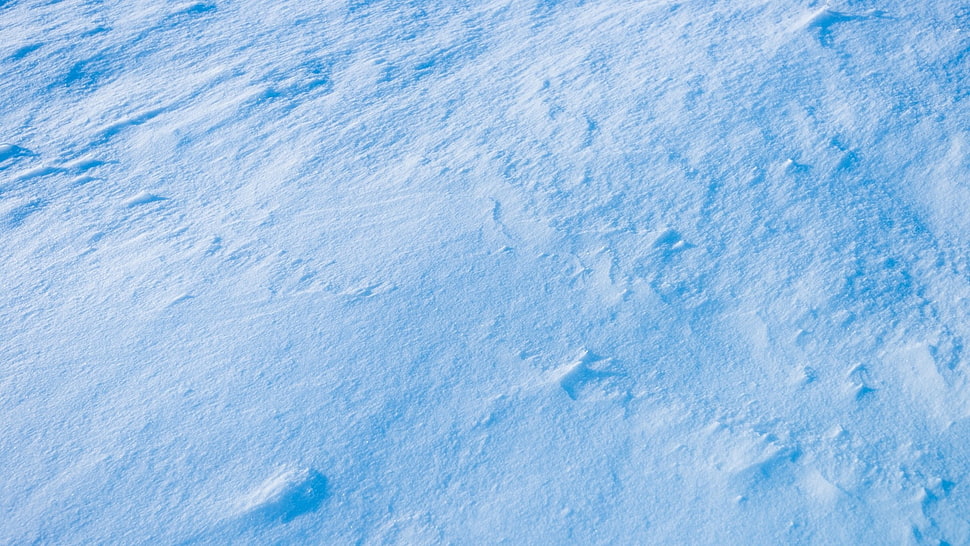 gray soil, snow, winter HD wallpaper