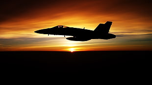 jet plane silhouette, McDonnell Douglas F/A-18 Hornet, military aircraft, humor HD wallpaper