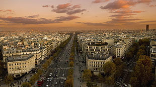 brown and white concrete building, Champs-Élysées, Paris, France, city