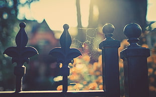 selective focus photography of four black metal pedestals HD wallpaper