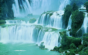 waterfalls, nature, landscape, waterfall, shrubs HD wallpaper