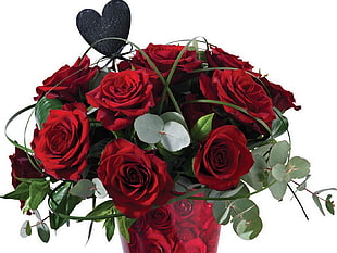 red Rose bouquet HD wallpaper