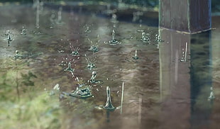 water droplets, Makoto Shinkai , The Garden of Words, water drops, anime