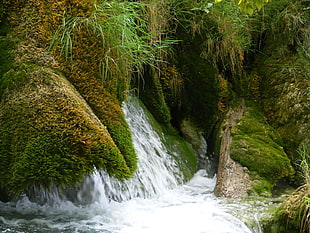 landscape photography of waterfalls, nature, landscape, waterfall, water HD wallpaper