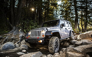 gray Jeep wrangler on forest