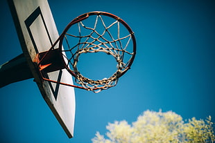 white basketball hoop, basketball HD wallpaper