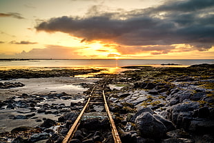brown metal railway beside sea and landscape