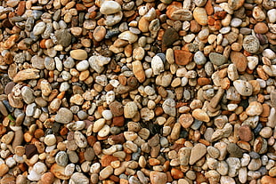 brown, white, and black pebbles