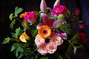 scenery of pink, purple and orange rose bouquet